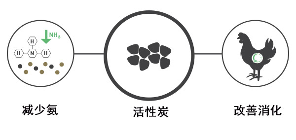 ����̿���Ƽ�������